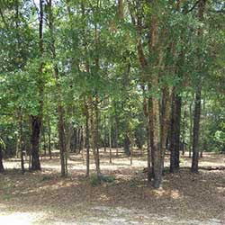 Land for sale at Jackie Taylor and Associates